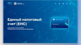 Что значит положительное сальдо единого налогового счета в Редмонд