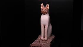История одомашнивания кошек в Редмонд