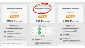 Как оплатить интернет от МегаФона в Редмонд
