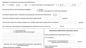 Как подать упрощенную налоговую декларацию в Редмонд