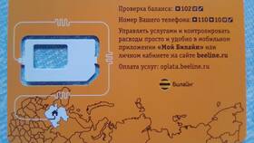 Как подключиться к оператору Билайн в Редмонд