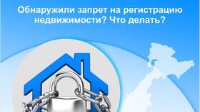 Как снять судебный запрет в Редмонд