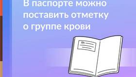 Как узнать группу крови через Госуслуги в Редмонд