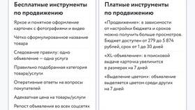 На чем можно зарабатывать деньги на Авито в Редмонд