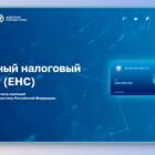 Что значит положительное сальдо единого налогового счета