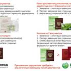 Сроки одобрения ипотеки в Сбербанке: сколько ждать решения